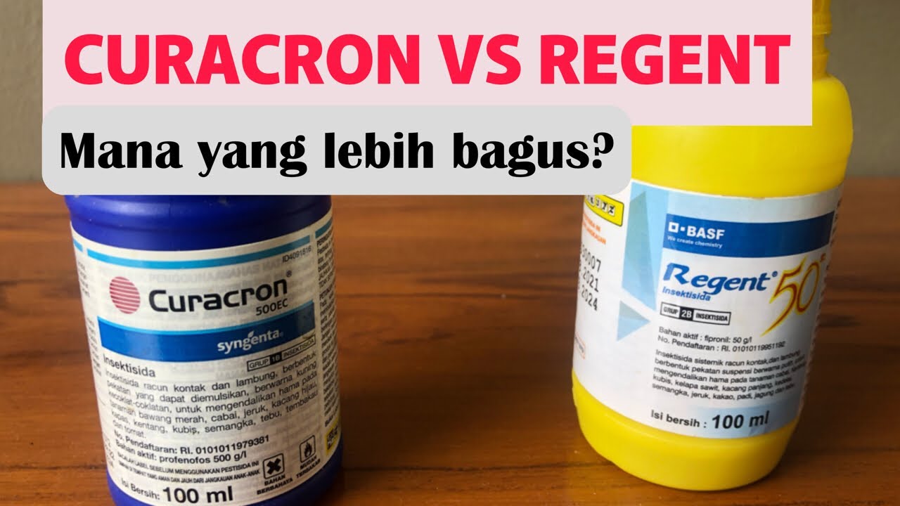 Kupas tuntas insektisida Curacron & Regent, mana yang lebih bagus?