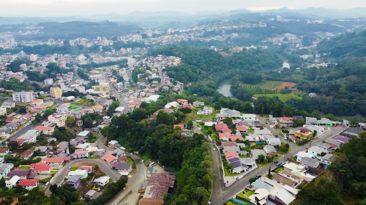 Videira Vista de Cima - O Início