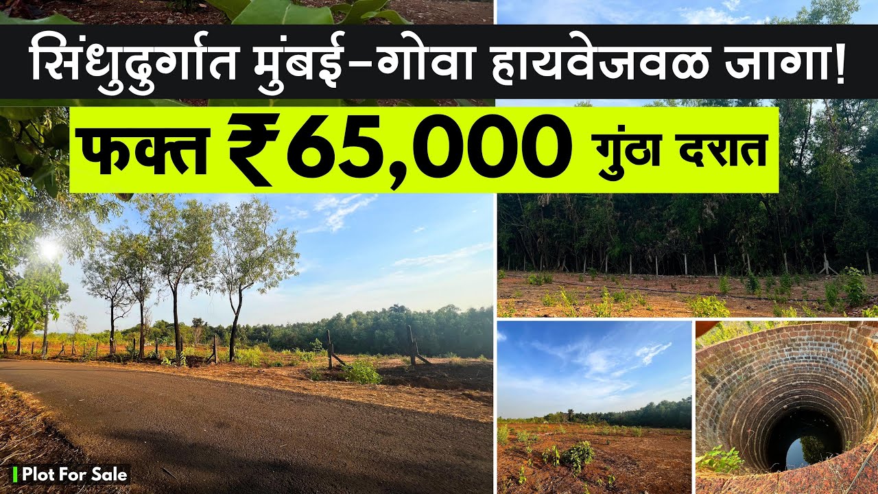 फक्त ₹65,000 गुंठा दरात सिंधुदुर्गात मुंबई-गोवा हायवेपासुन जवळ जागा ! | रोडटच | P181