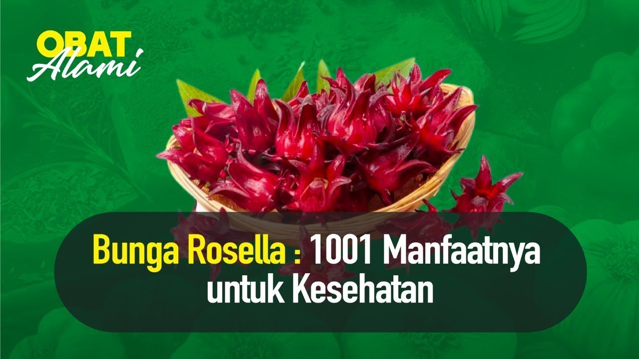 Ajaibnya Teh Bunga Rosella | Nutrisi Alami