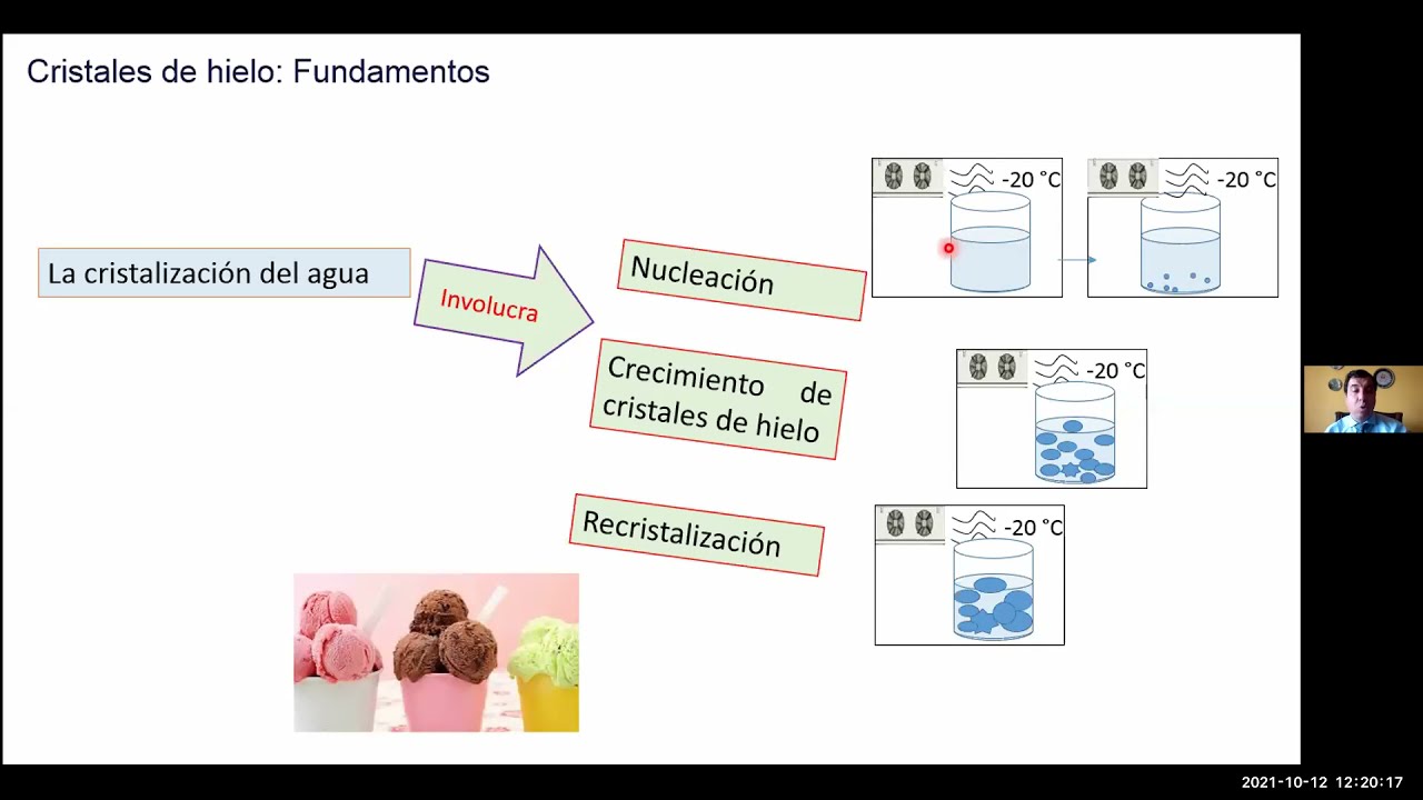 Formación de cristales de hielo y su efecto en congelación de alimentos