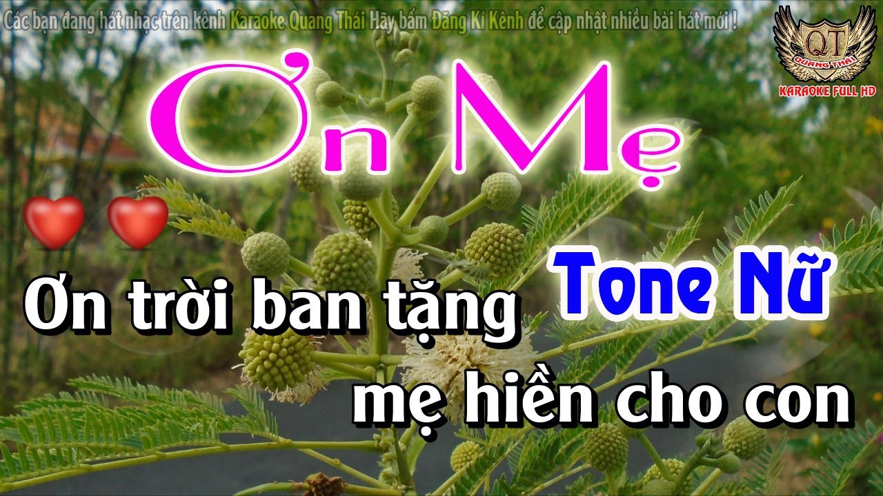 Ơn Mẹ Karaoke Tone Nữ -Karaoke Quang Thái
