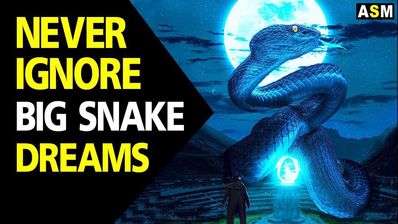 Big Snake dream meaning || Dreaming of big snake || Big Snake Dream interpretation