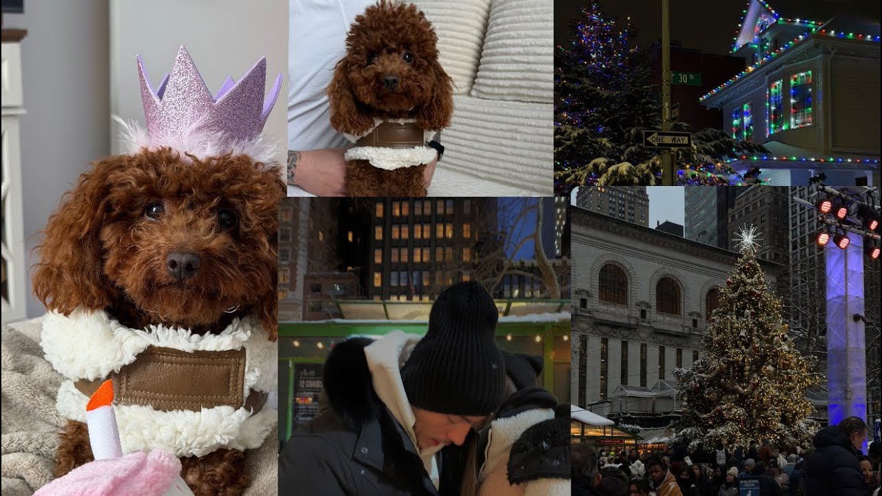 ✨VLOGMAS DAY 24/25-Savršen dan u NYC-u: Bryant Park, domaća pileća supa & Daisyin 1. rođendan 🎂🐾