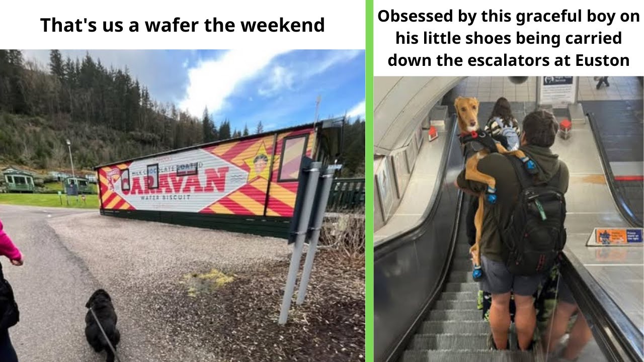 British Memes 8 | That's us a wafer the weekend