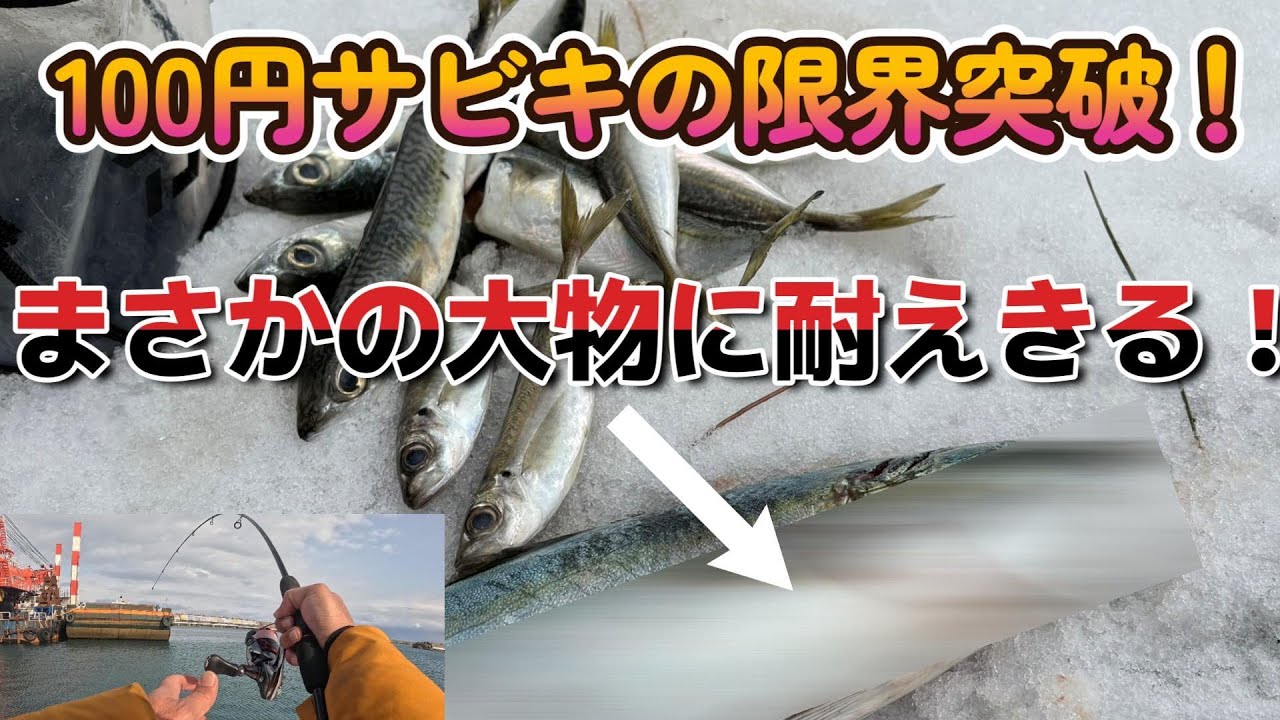 「100円サビキの限界突破！アジ狙いのはずがドラグが止まらない…正体はイナダ！」