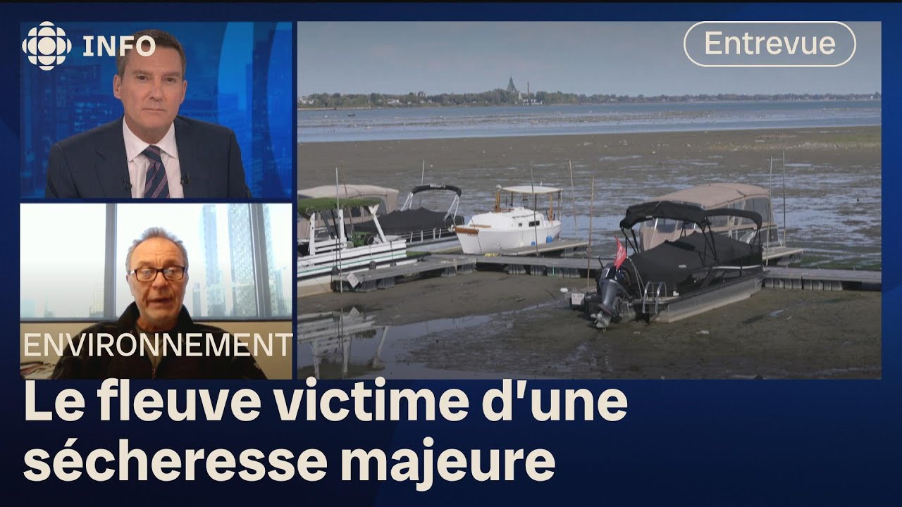 Pourquoi le fleuve Saint-Laurent est-il si bas? Les explications d'un expert