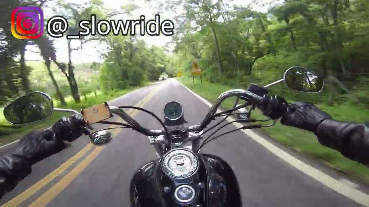 Qual escolher Dyna, Sportster ou Softail? Opinião de dono!