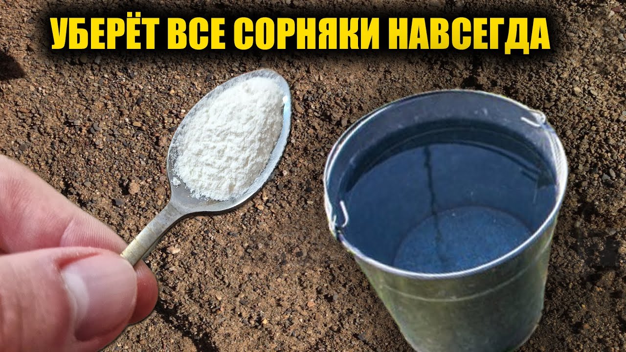 Любые сорняки исчезнут за 1 минуту навсегда! Рабочий способ как избавиться от сорняков без хлопот