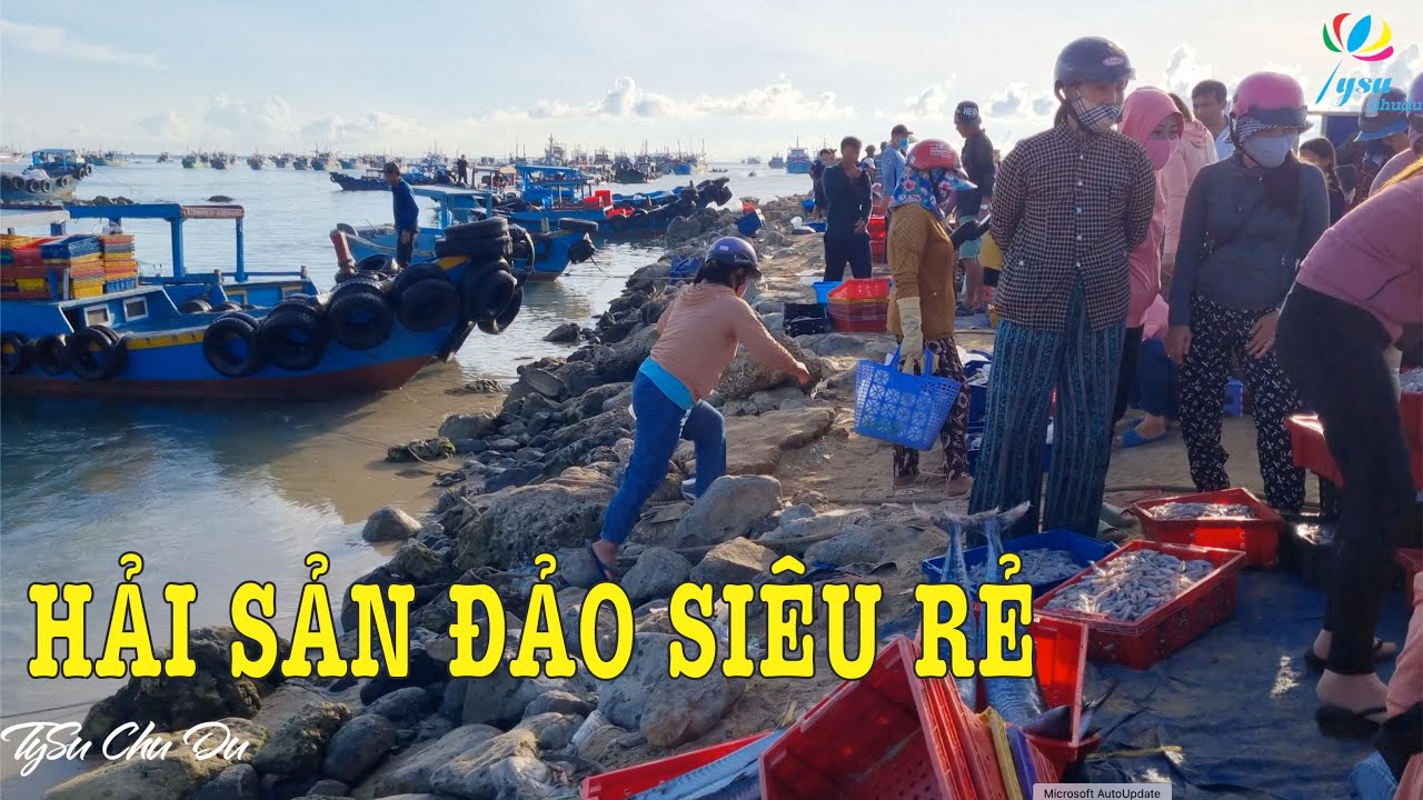 Đông Nghẹt Bến Cá Đảo Phú Quý | Giá Mực Siêu Rẻ Khi Vào Mùa