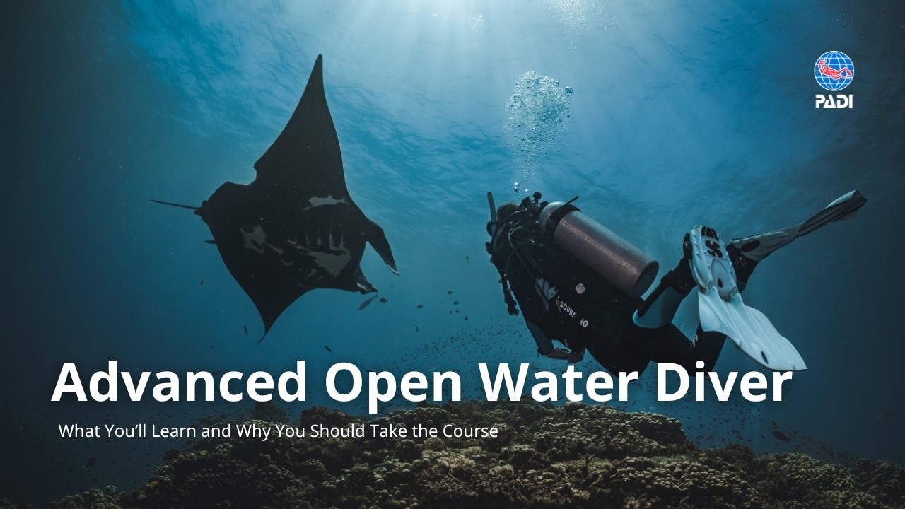PADI Advanced Open Water Diver Course | What You&rsquo;ll Learn and Why You Should Take It