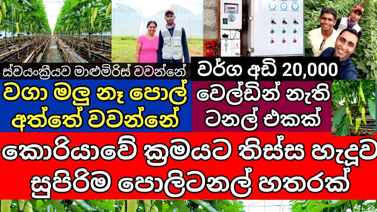 A Fully Automated Large-scale Polytunnel in Sri Lanka Built with Korean Technology