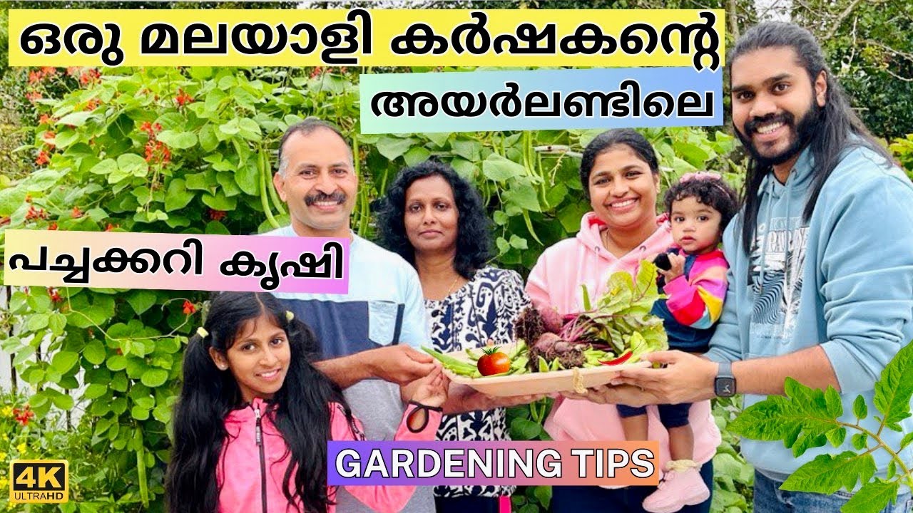 From Kerala to Ireland: The Vibrant Story of an Irish Malayali & his Vegetable Garden | From Me2Wee