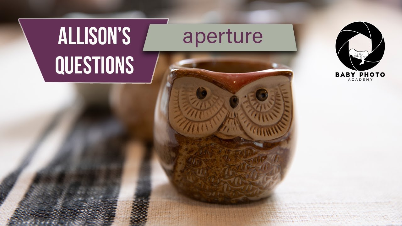 Allison's Questions!!  Aperture for Beginners