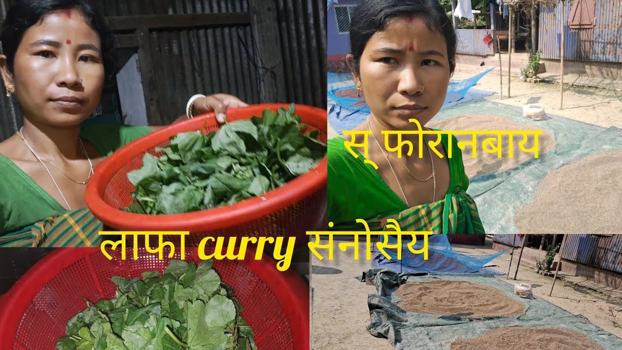 लाफा curry संनोसैय// स् फोरानबाय  //