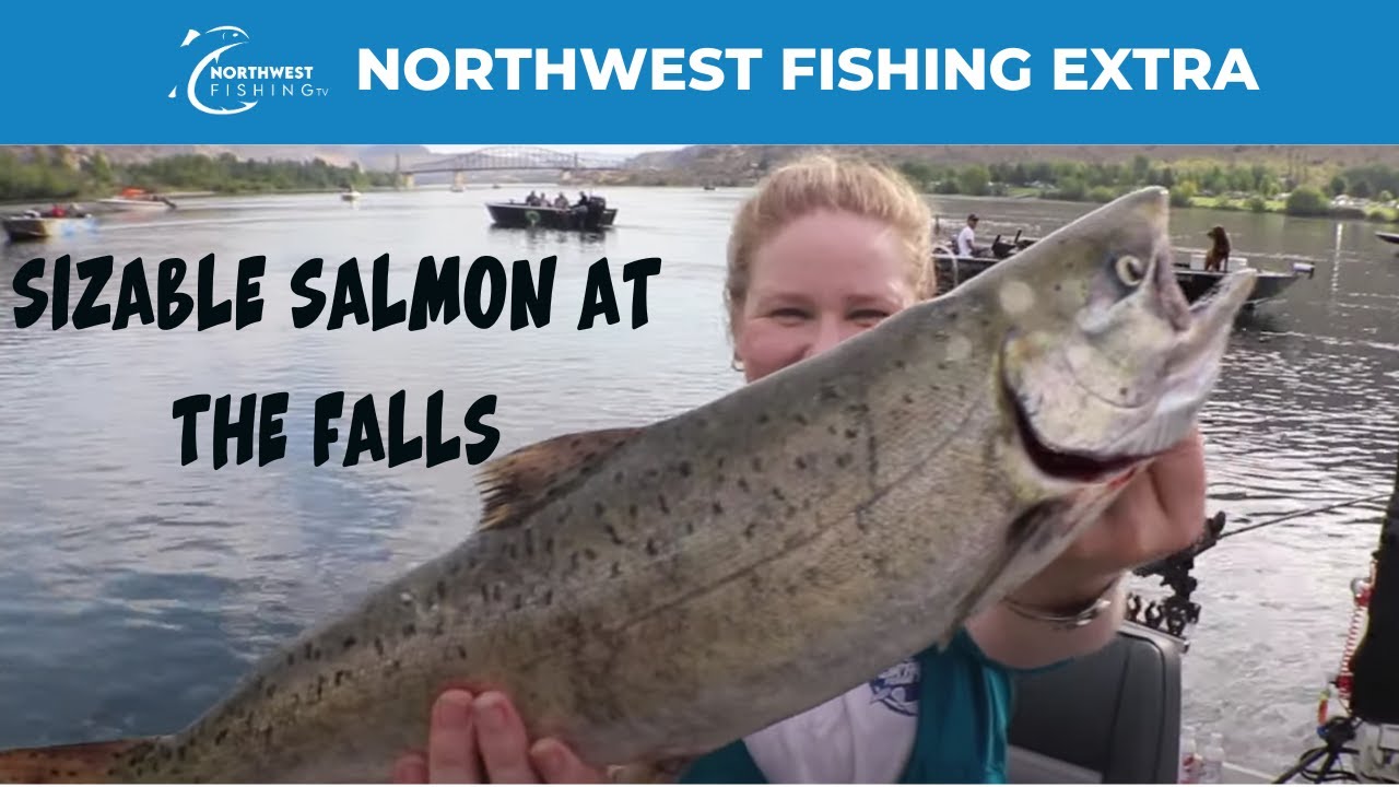 Columbia River Salmon Fishing at Chelan Falls - Extended Cut