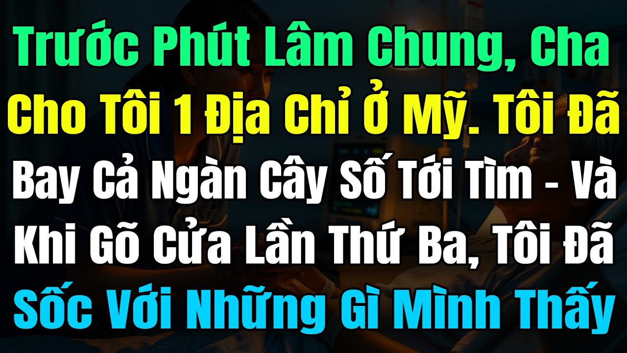 Trước Phút Lâm Chung, Cha Cho Tôi 1 Địa Chỉ Ở Mỹ. Tôi Đã Bay Ngàn Km Tới Tìm, Khi Gõ Cửa Lần 3 Thì..