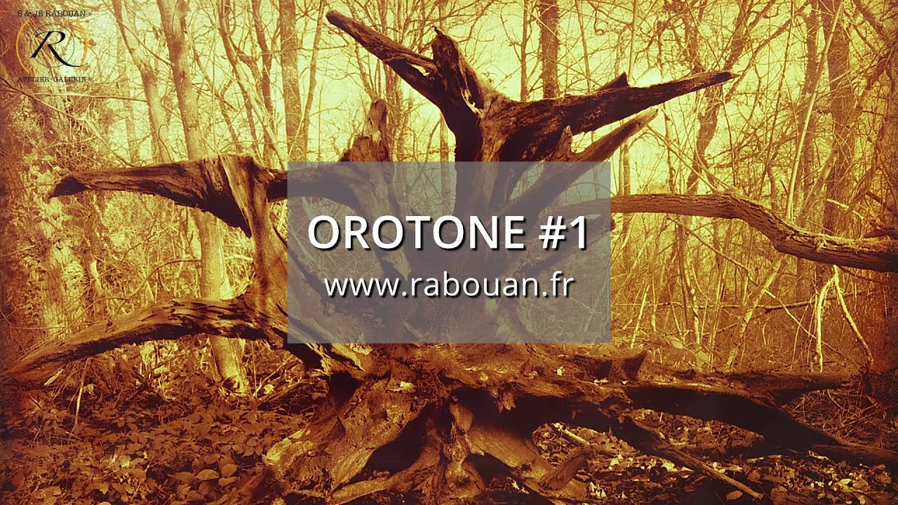 Orotone, proc&eacute;d&eacute; de tirage photographique sur verre