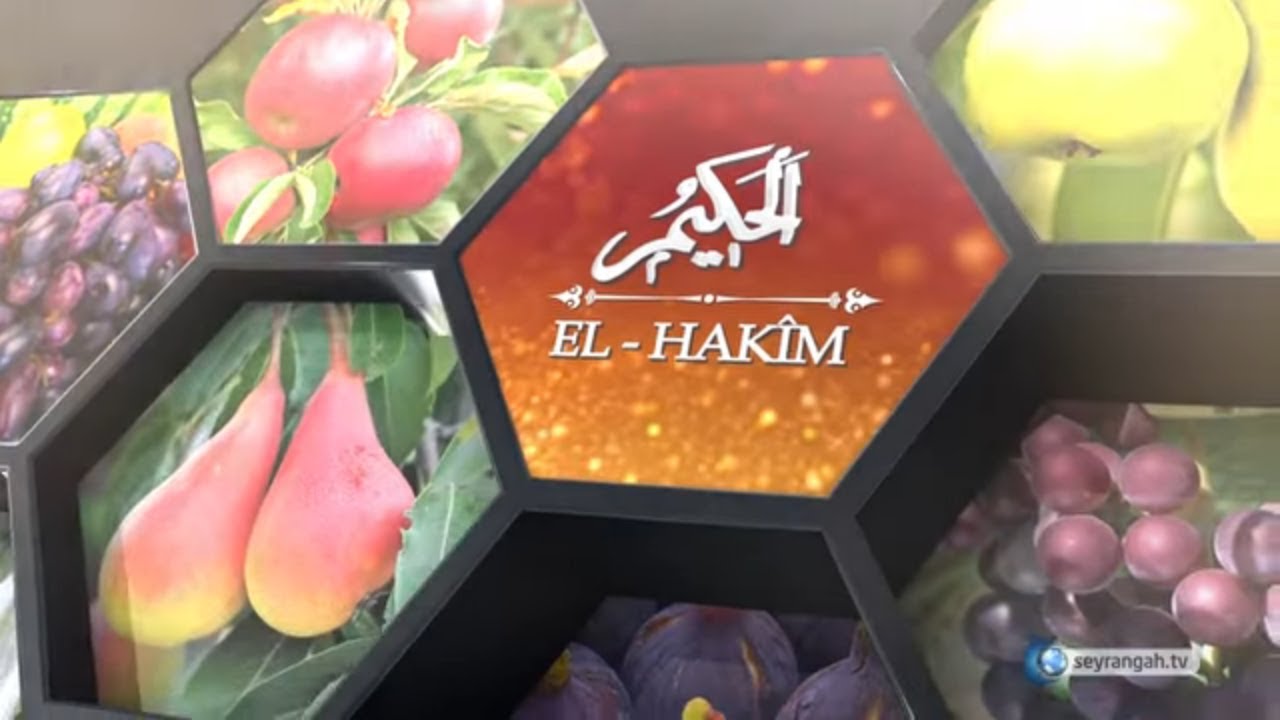 Allah'ın İsimleri - 47: El- Hakîm