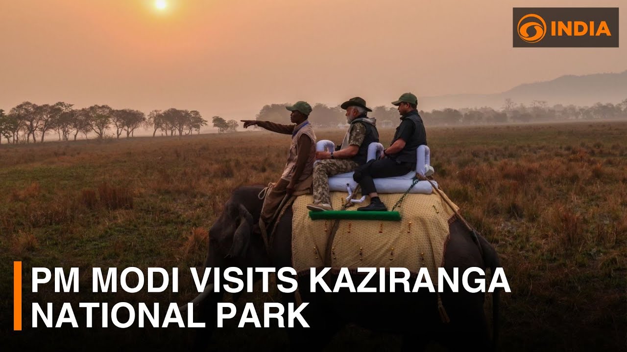 PM Modi visits Kaziranga National Park | DD India