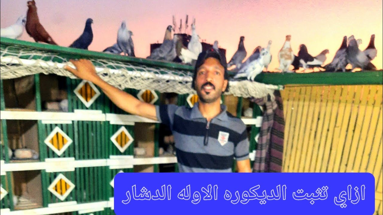 الجزء الاول في تثبيت 40 ذكر او الى في قلب الغيه # مع كابتن حمو# تثبيت حمام الدشار