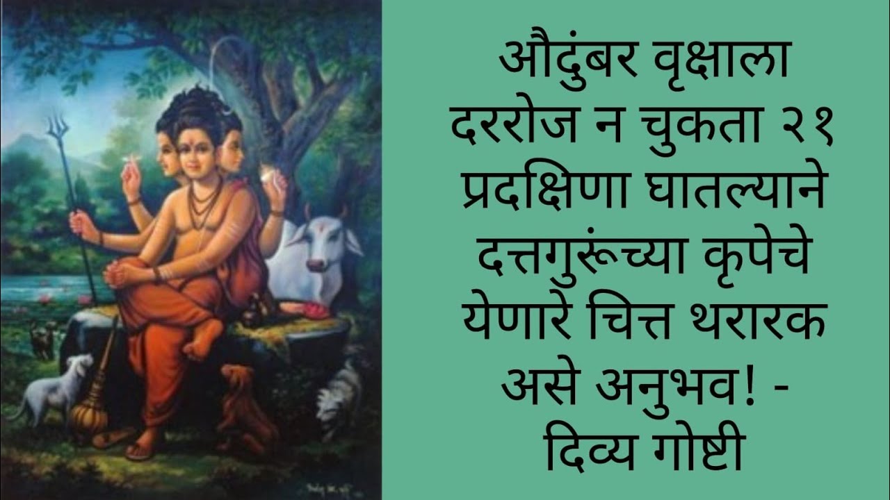 औदुंबराला दररोज न चुकता २१ प्रदक्षिणा घातल्याने दत्तगुरूंच्या कृपेचे येणारे चित्त थरारक असे अनुभव