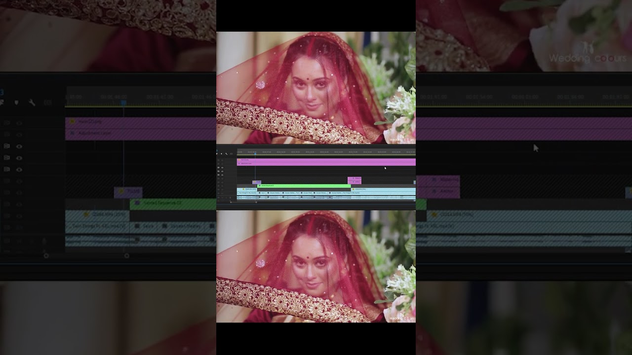 Reception Trailer || 2023
