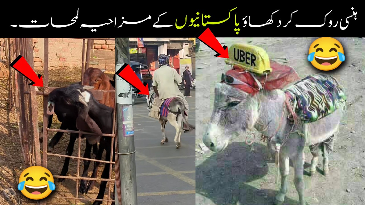 MOST FUNNY MOMENTS OF PAKISTANI  PEOPLE | PART NO  11 😂🤣 | Pakistani Funny Video