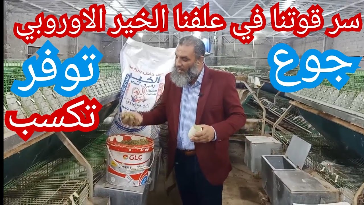 تعال وانا اقولك ازاي توفر و تاكل علف الخير الاوروبي شيخ سامر