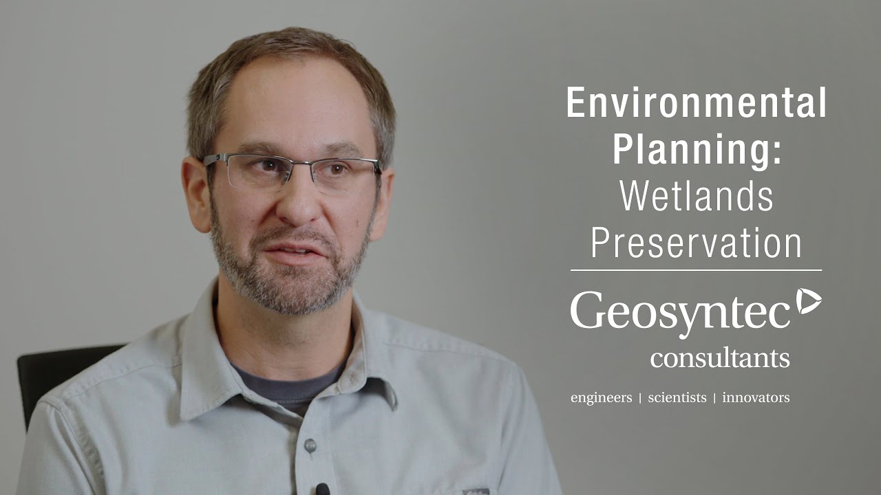 Environmental Planning: Wetlands Preservation | Andrew Austreng