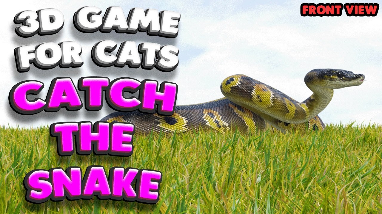 3D game for cats | CATCH THE SNAKE (front view) | 4K, 60 fps, stereo sound