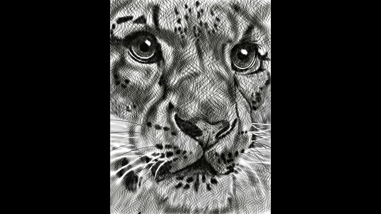 Cross Hatching on digital tablet with custom brushes .first try!!!