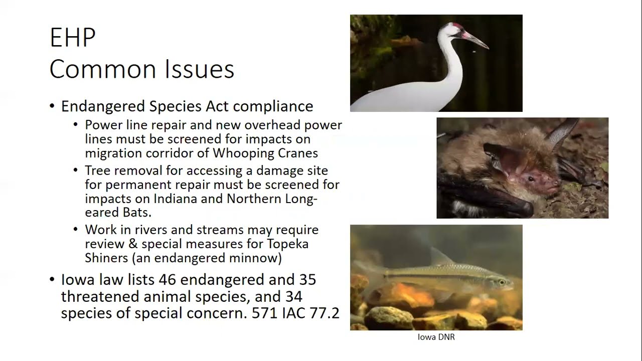 Public Assistance Applicant Briefing Part III - Mitigation, EHP & Other Considerations