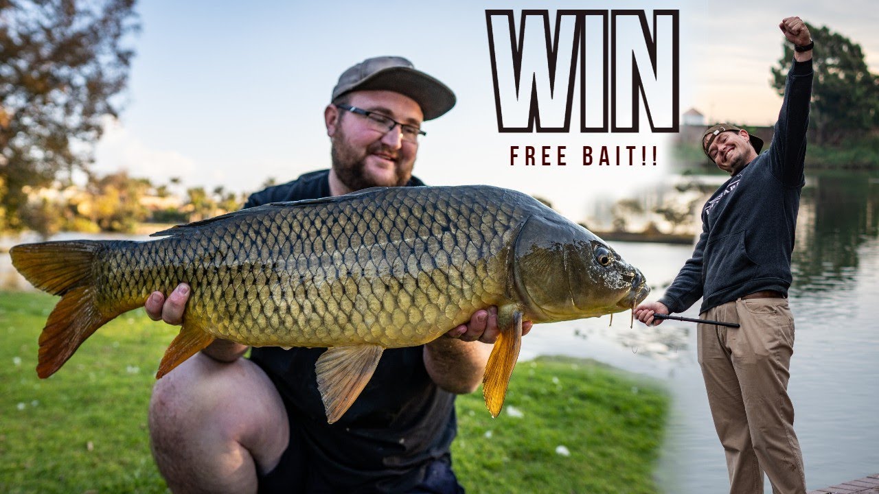 Just have fun - Mini carp fishing campaign