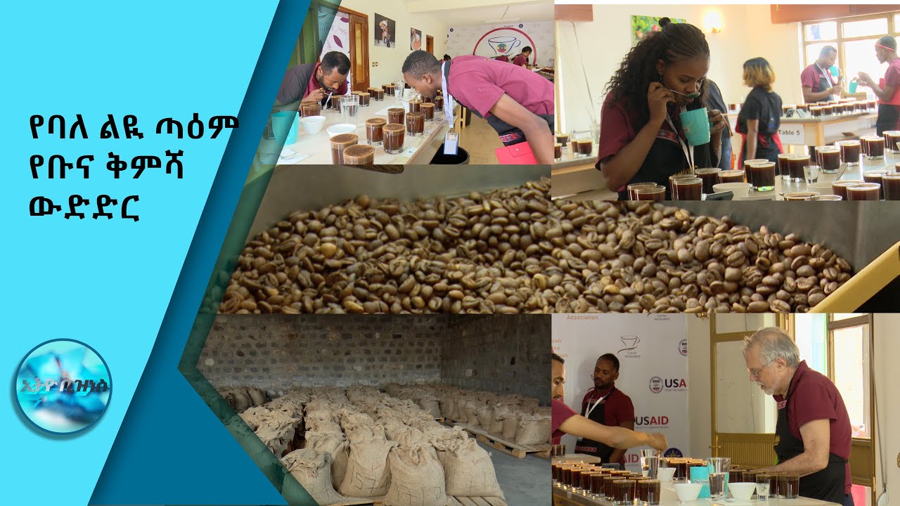 የባለ ልዩ ጣዕም የቡና ቅምሻ ውድድር