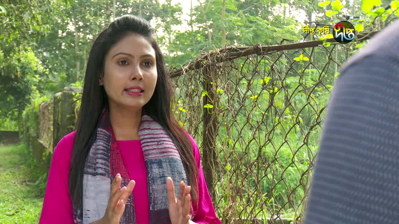 Deepto Krishi/দীপ্ত কৃষি - কুমিড় চাষ  (ফলো-আপ)/ময়মনসিংহ, পর্ব ৩৫৬