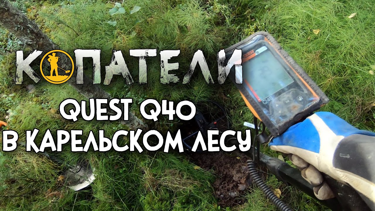 Металлоискатель Quest Q40 в карельском лесу