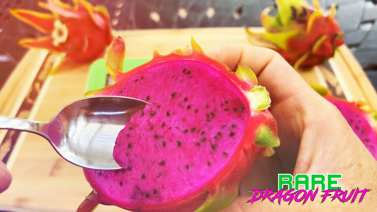 AMERICAN BEAUTY DRAGON FRUIT TASTE and REVIEW / Pine Island Nursery / Quang Ong Self Fertile