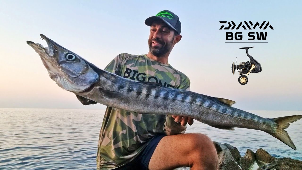 Grossi BARRACUDA a spinning in SCOGLIERA - Ft. BG SW DAIWA