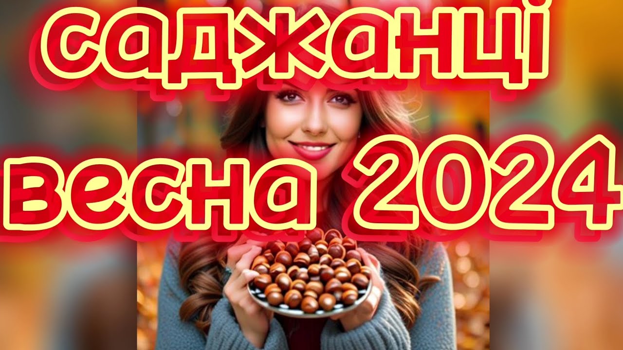 🌳🌳🌳ФУНДУК ТОП-10.Саджанці та Черенки на ВЕСНУ 2024 / hazelnut Trebizond Ukraine