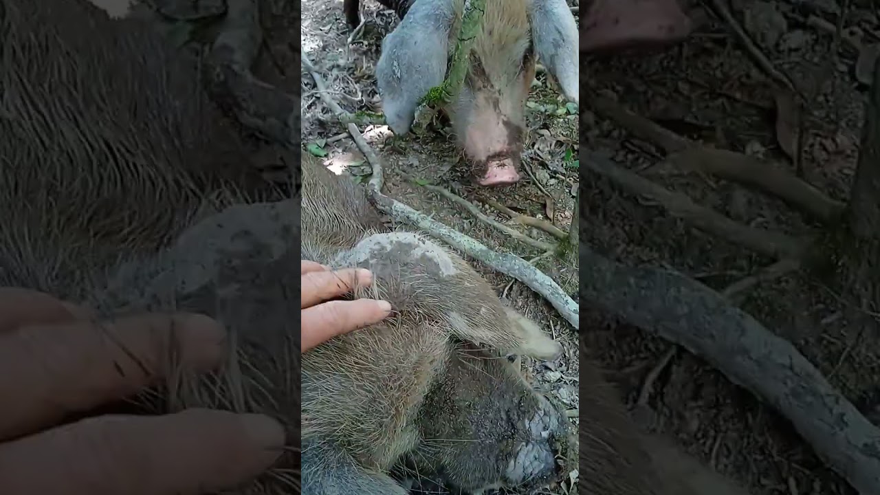 6 de dezembro de 2025