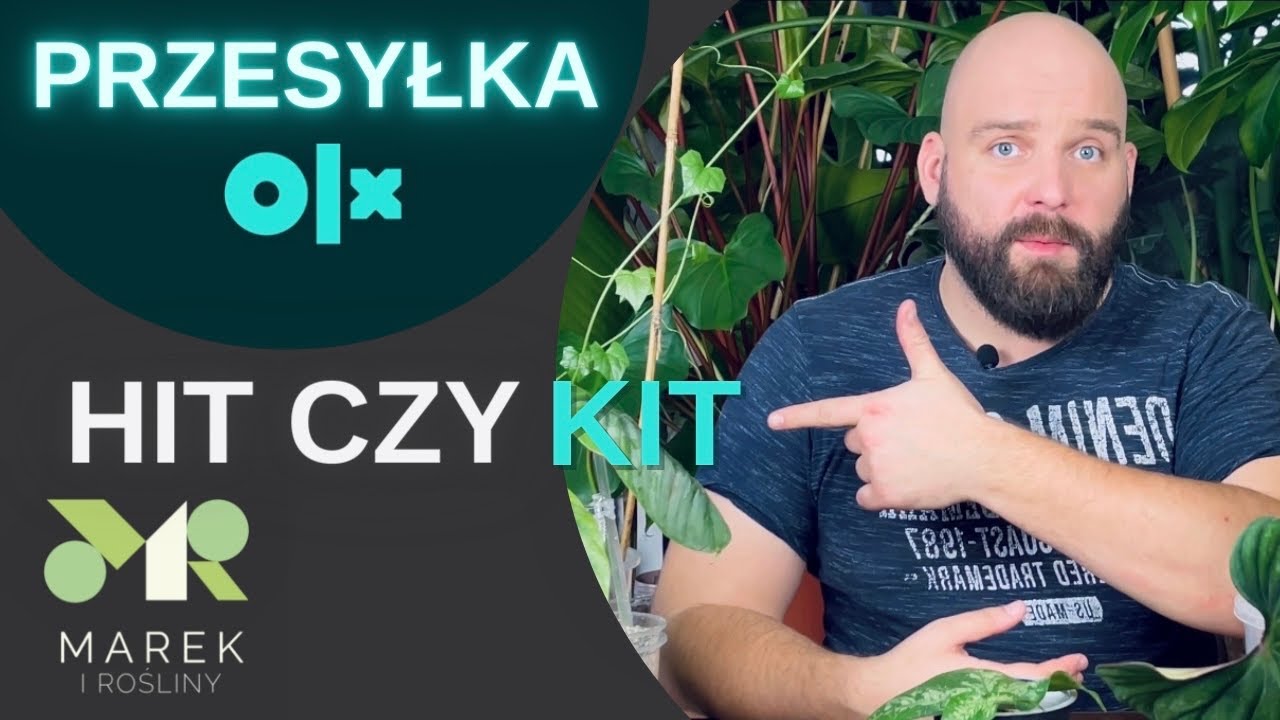 Przesyłka OLX hit czy kit? Czy warto tak wysyłać? Oraz inny problem OLX, który wielu przeszkadza