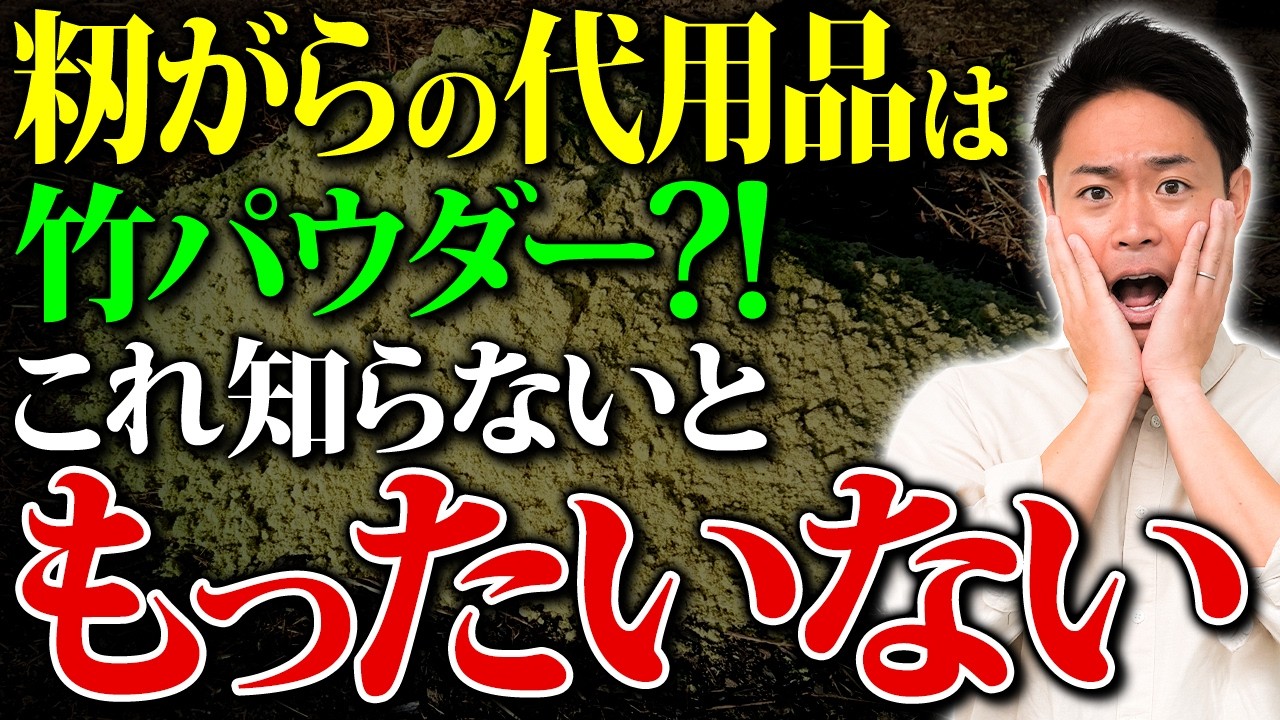竹パウダーとカルスの相性は？竹害問題や竹パウダーを使った土づくりについてお話ししていきます【家庭菜園 土づくり ガーデニング 微生物資材 】