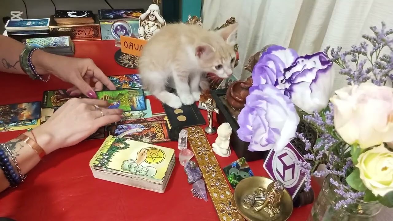 TAURO ❤️ AMOR,UN PASADO SE COMUNICA,INTENTA MANIPULARTE, CERRASTE CICLO, ALGUIEN NUEVO 😍 LLEGANDO