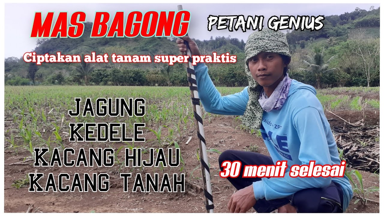 petani genius ciptakan alat tanam super praktis