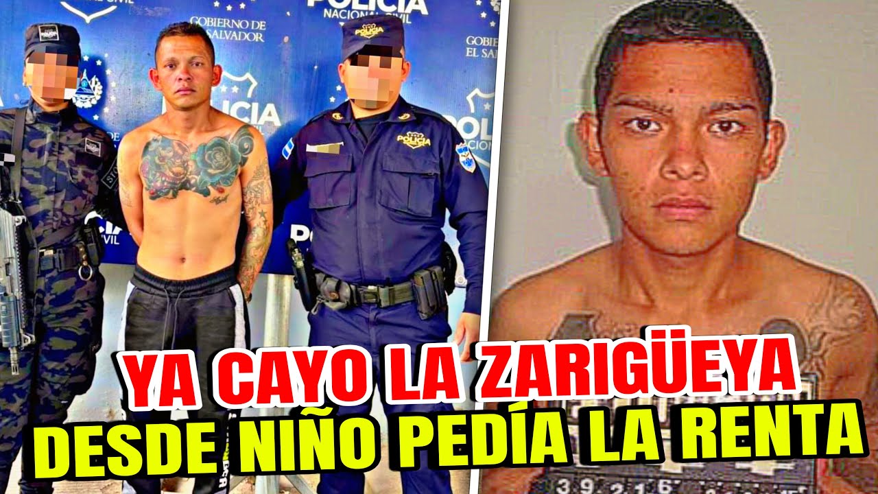 POR FIN LE CAYERON A ZARIGÜEYA PANDILLERO 18 QUE DESDE NIÑO PEDIA LA RENTA EN SOYAPANGO