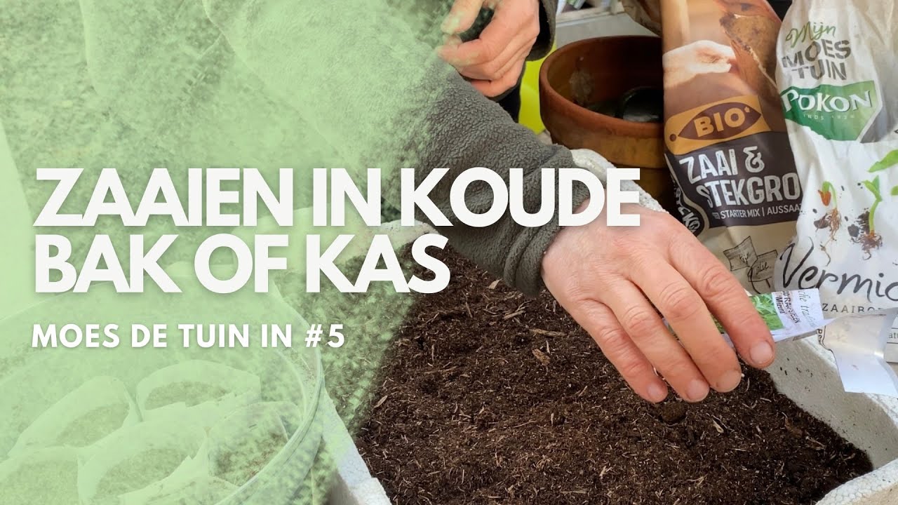 Zaaien in koude bak of kas, MOES de TUIN in #5