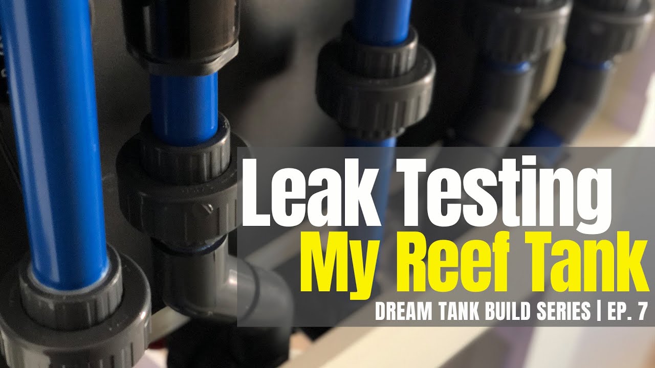 Dream Reef Tank Build Series | Ep. 7 | Leak Testing My Reef Tank
