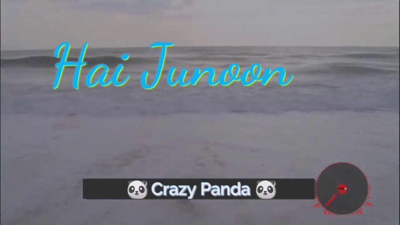 Hai Junoon Remix ft. Female voice