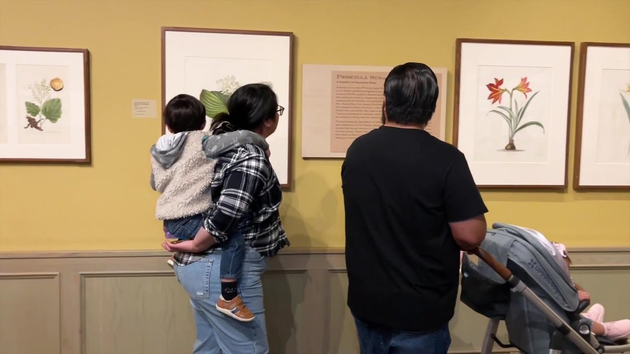Santa Barbara Museum of Natural History highlights 8 female artists from Victorian era in ...